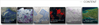 health2.png