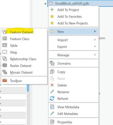 Figure 5, creating new Feature Dataset