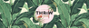 Logan_Stevens_1-1673887235084.png