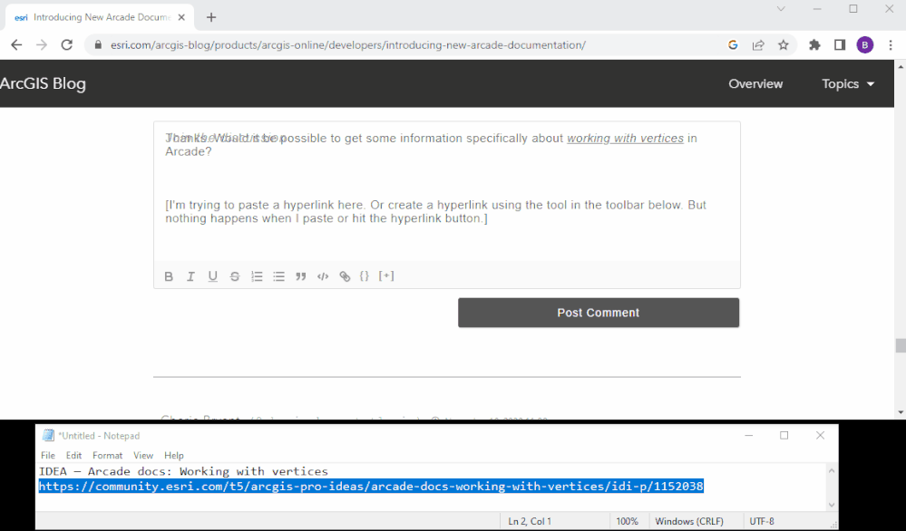 Blog Comment Issue.gif