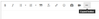 JohannesLindner_0-1674546019020.png