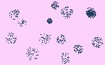 JohannesLindner_0-1675975809306.png
