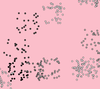 JohannesLindner_1-1676037967615.png
