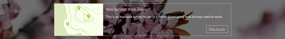 Survey card set to color palette of theme and button style of hollow