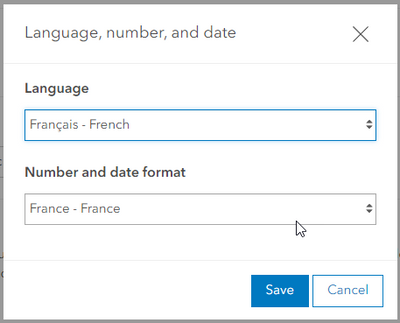 Language and number formatting support
