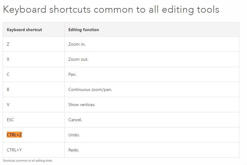 ArcMap CTRL+Z