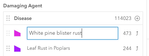 RussRoberts_1-1683298218987.png