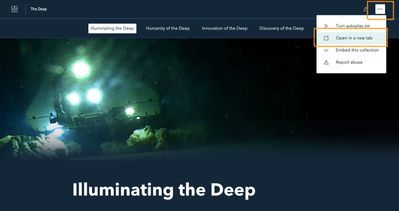 Screenshot 2023-06-07 at 10.28.38 AM.jpg