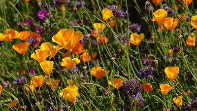 adobestock-259251204.jpeg-jpgW1140.jpeg adobestock-259251204.jpeg-jpgW1140.jpeg