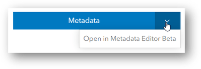 Metadata-editor-beta-dropdown