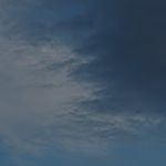 Profile (AlfredasG)