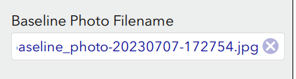 BaselinePhotoName.png