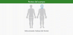 Partes.gif