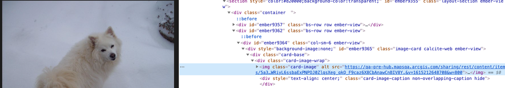 Code inspector showing image html