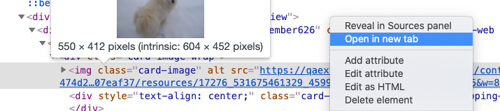 Screen Shot 2021-03-08 at 9.23.13 AM.png