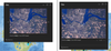 RussRoberts_0-1692640578483.png