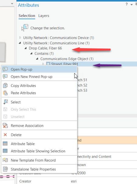 ArcGIS Pro -  Attribute Pane.jpg