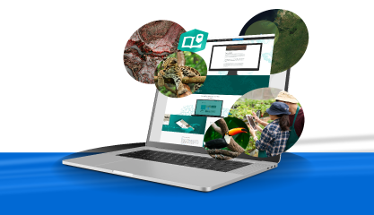 Boletin 24 CUE_ARCGIS STORYMAPS.png