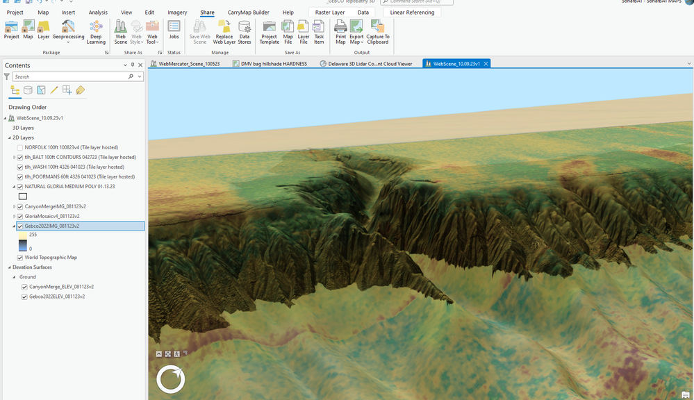 #1 ArcGIS Elevated Terrain.png