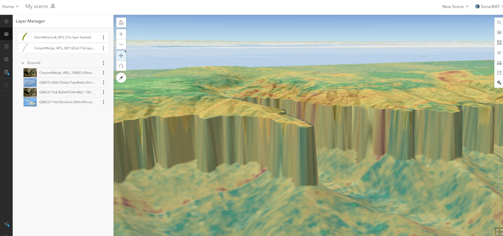 #3 Scene Viewer Non-Elevated Terrain Gebco 3.5 exaggerated.png