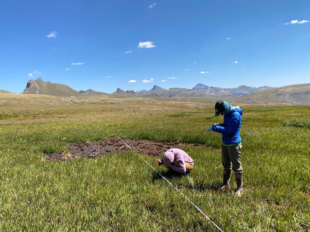 Wetland working conditions 1.jpg