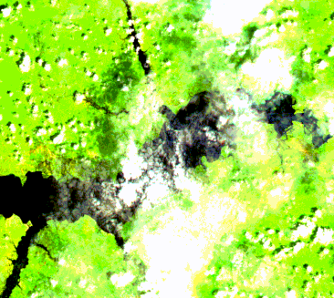 02_Sentinel2_2021.gif 02_Sentinel2_2021.gif