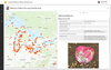 PeterKnoop_4-1706807920093.png