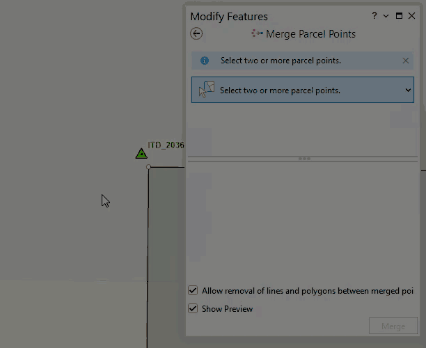 MergePointsPreserveDefaultsToFixedPoint.gif