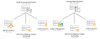SpatialNinja_0-1708736359634.png