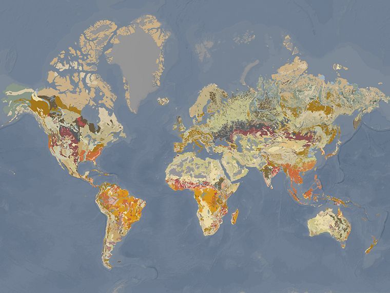 A map of the world soils.
