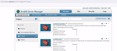 A screen capture of ArcGIS Server manager showing the Caching GP services.