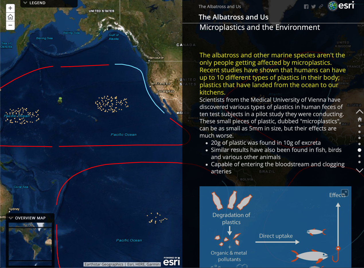 Story Map on albatross